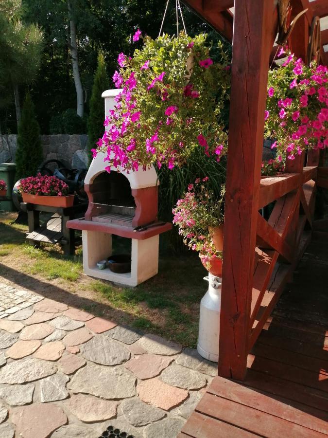 Caloroczny Wczasy Marzenie * Ruciane-Nida